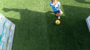 Skill 21) Roll Right, Pass Left, Control Right