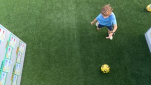 Skill 35) Roll, Outside Pass - Alternating Feet