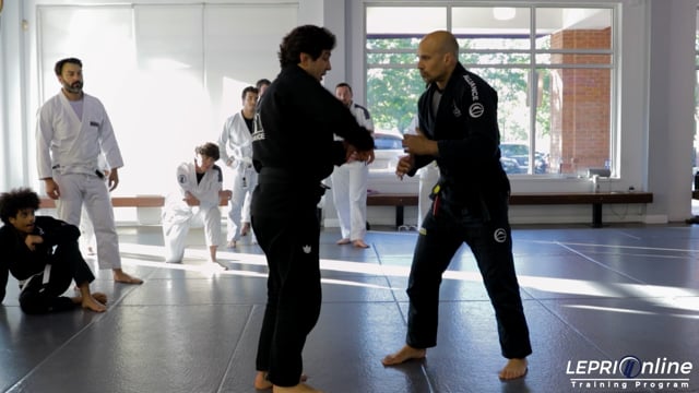 Side Headlock Escape and Concepts
