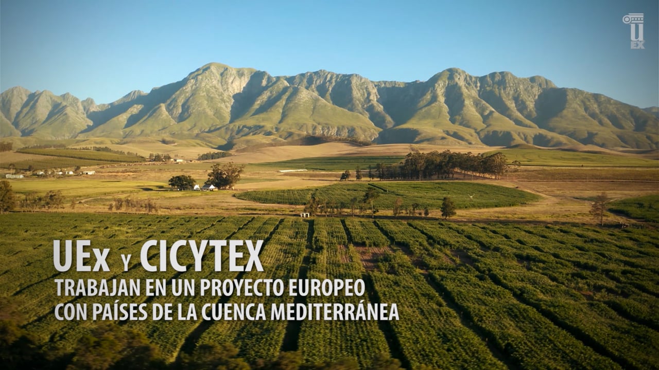 INTAEX Dieta Mediterránea - Corto