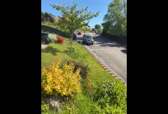 Video 1: