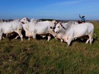 Geral Touros (Aéreo)