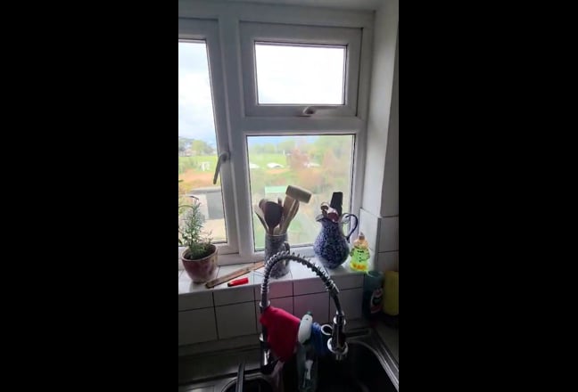 Video 1: