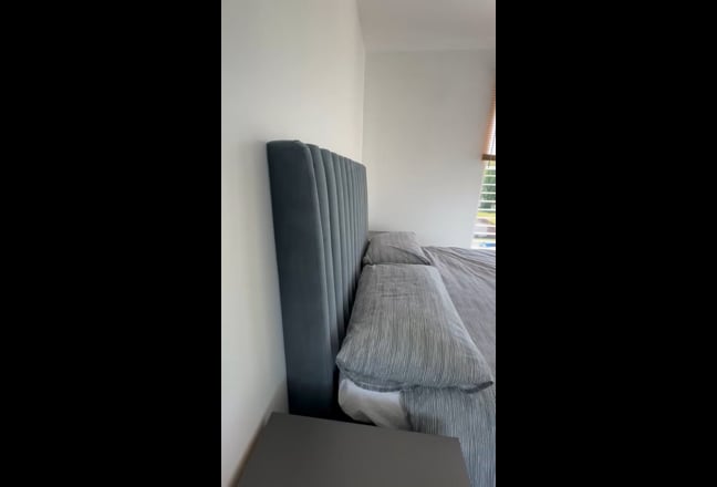 Video 1: