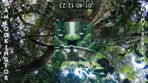 00_Day19_3__Japan_Nov18_jimmu_mnt_b