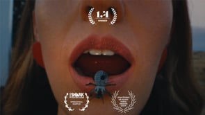 beetlebugs - Nick Leng