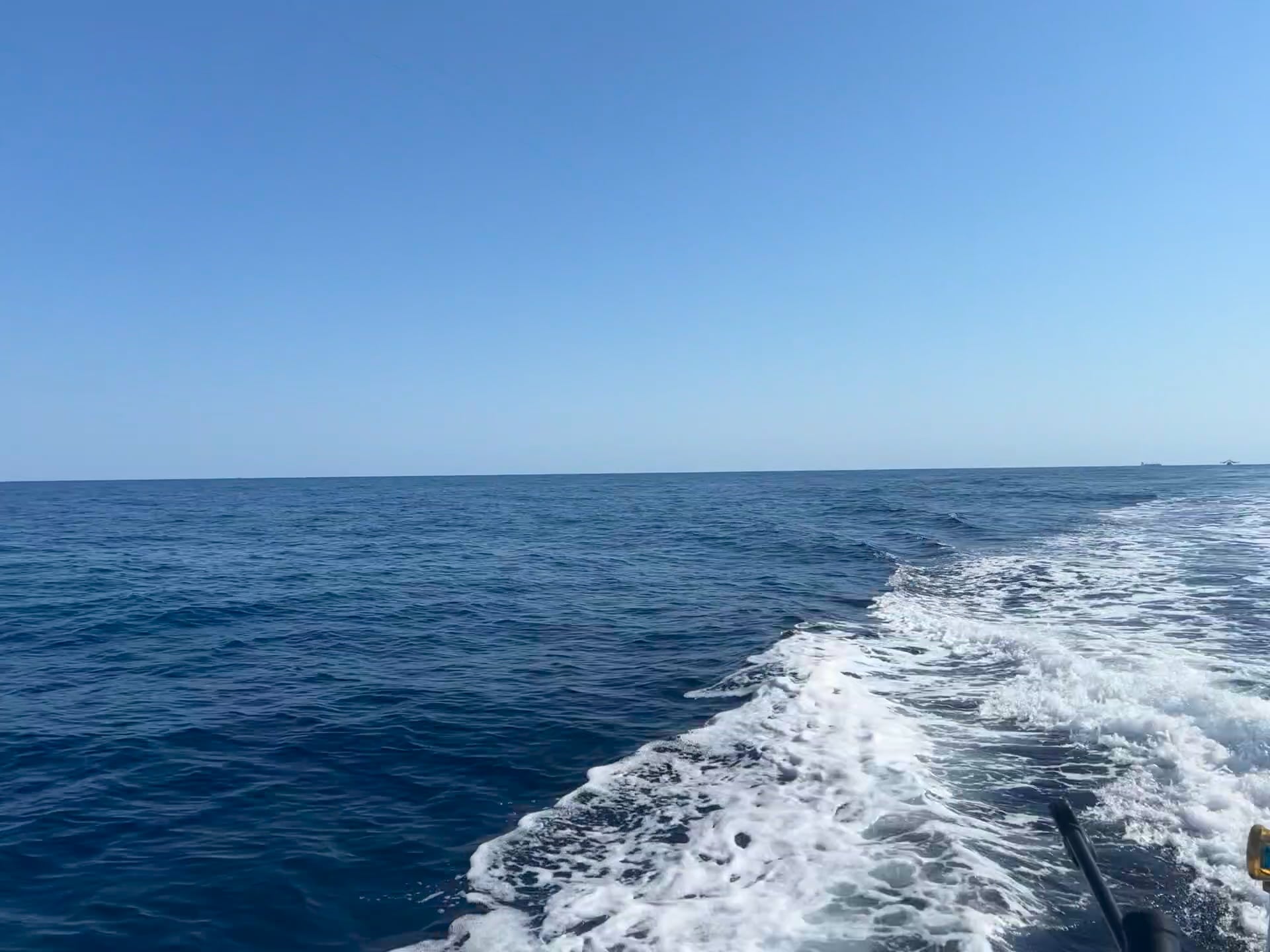 https://i.vimeocdn.com/video/2015798811-0c5c507b218260a09c5ba11a1373bae1c32aec8a69c885b8ded8473e9a49e8ae-d