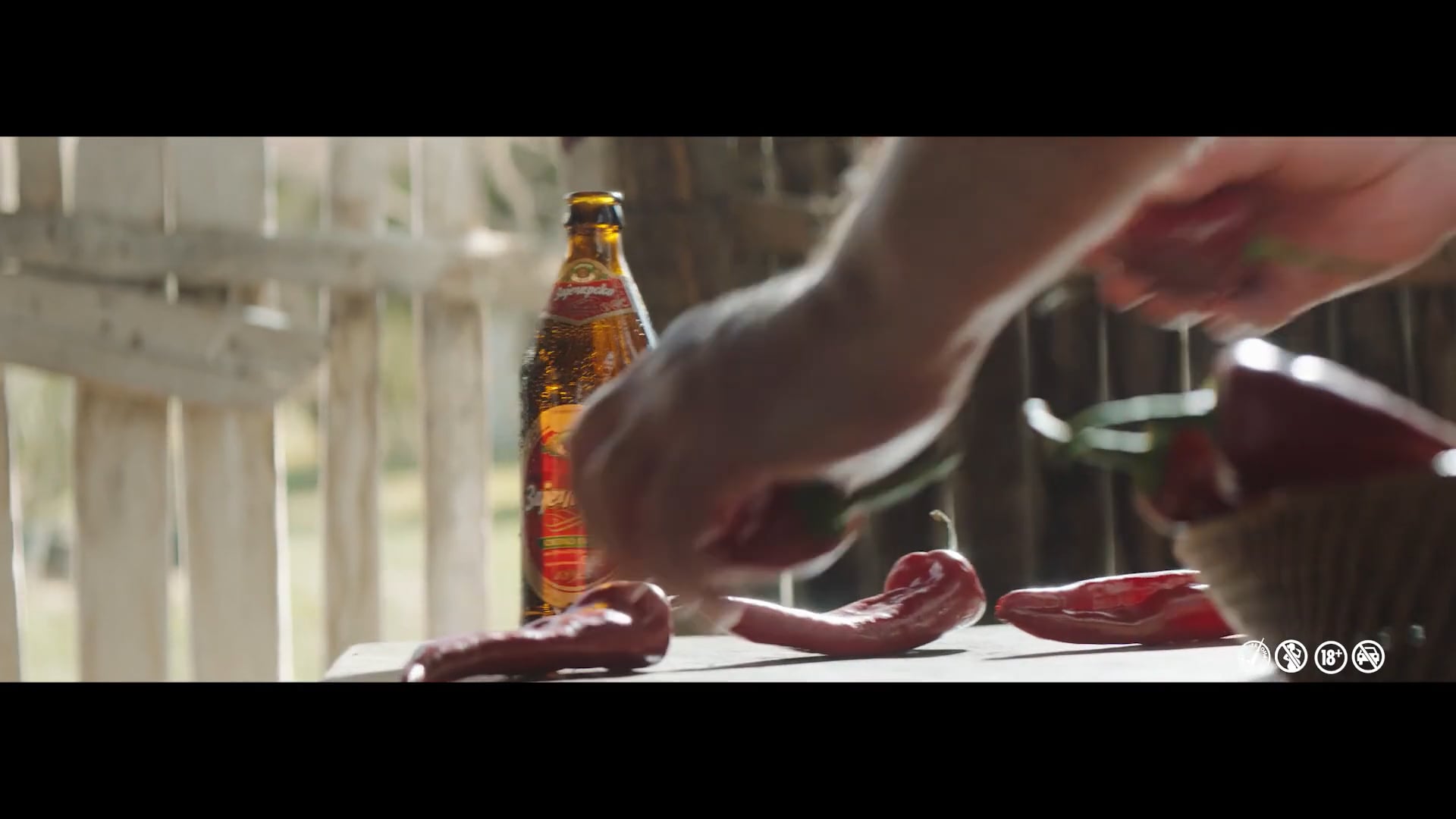 TVC Zaječarsko - Za ono u čemu smo dobri