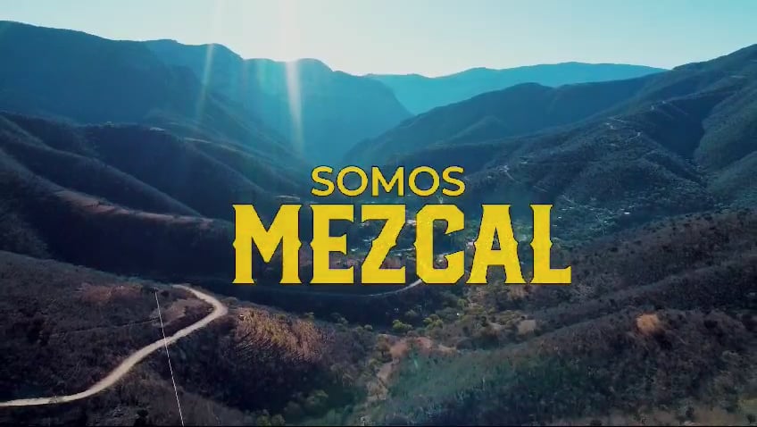 https://i.vimeocdn.com/video/2015802398-29f4dda8c11c9206405ad5b43a8e0c35b9406965085ce271e492357f732e43c3-d