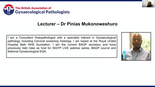 Pathology of the fibroid uterus. Cautionary tales and clues to navigating diagnostic pitfalls