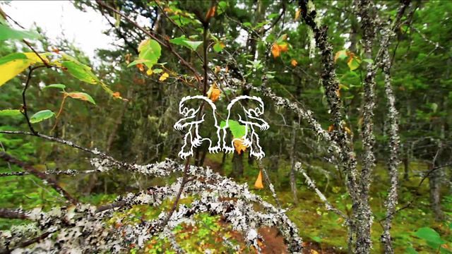 Hardtail Soul Jinya Nishiwaki from Chromag