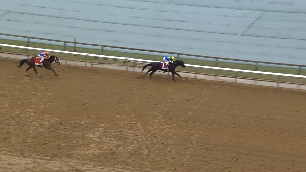 Rodriguez | 2025 Wood Memorial (G2) at Aqueduct