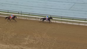 Rodriguez | 2025 Wood Memorial (G2) at Aqueduct