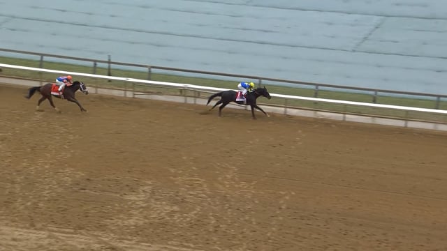 Rodriguez | 2025 Wood Memorial (G2) at Aqueduct