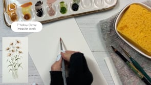 Chamomile Tutorial