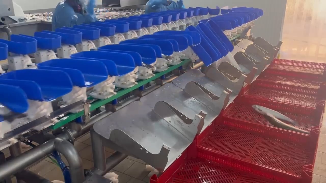 https://i.vimeocdn.com/video/2016003103-feaf6eb660471855acb9a8e421982b17dc896ae70452fecbb7b869901f2e2fbc-d