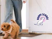 Puppy School - Promo
