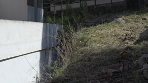 L'Ajuntament arregla el talús del MASLE i hi projecta un refugi climàtic