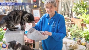 90 Year Old Woman Is An Animal Rescuer