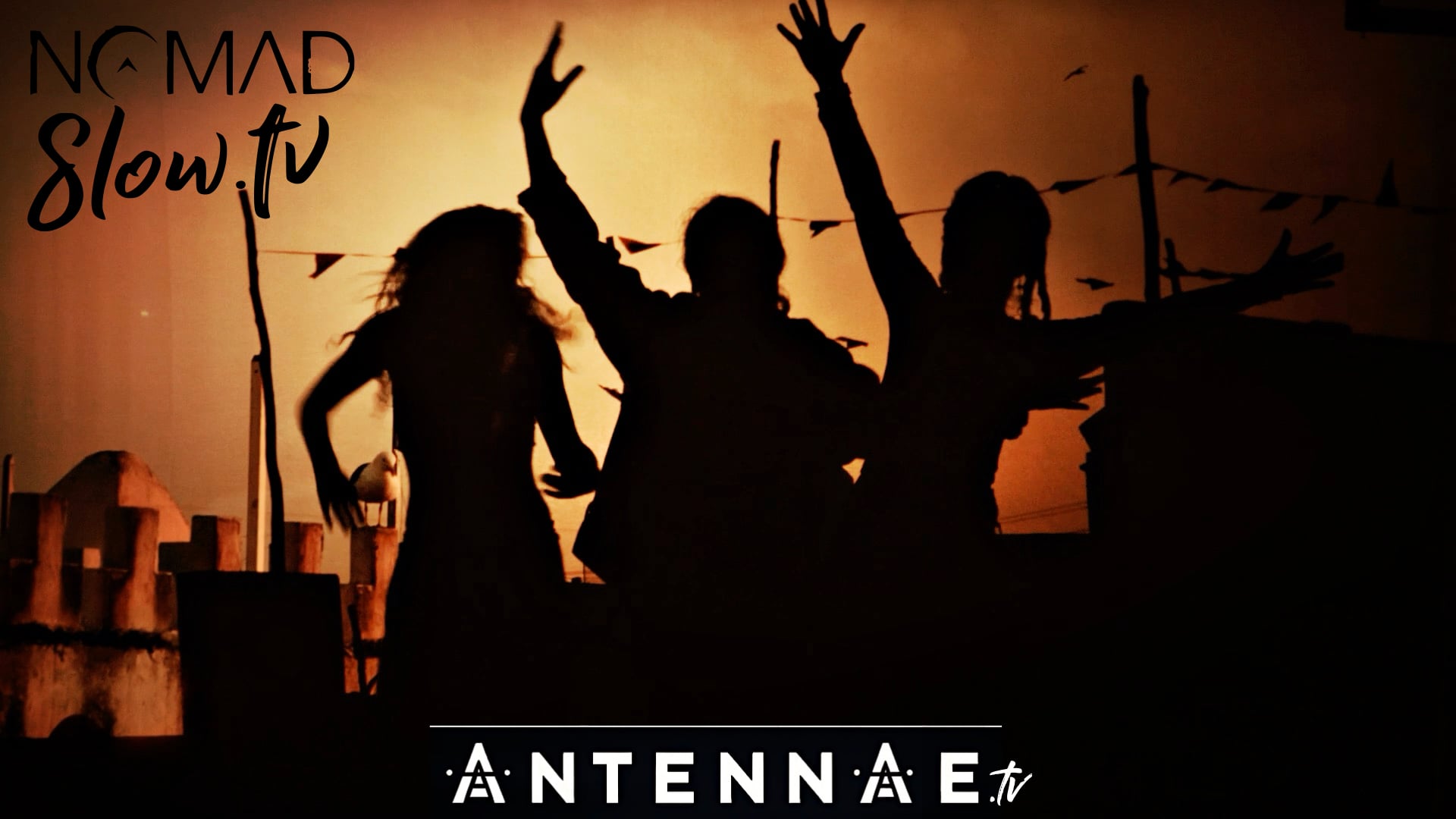 ANTENNAE Immersive Experience