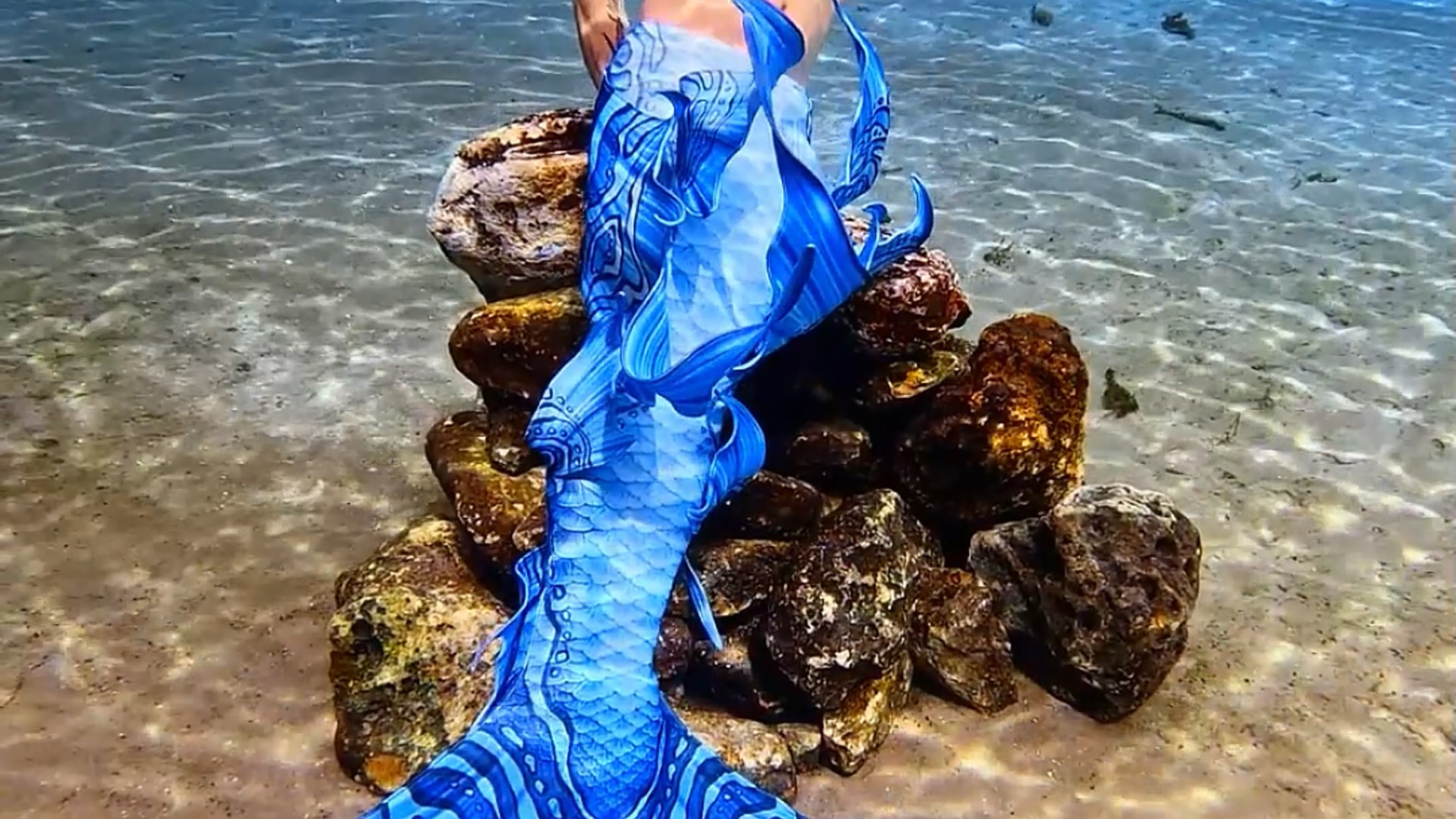 Hire Merman Entertainer - Mermaid Entertainment in Woodbridge, VA ...