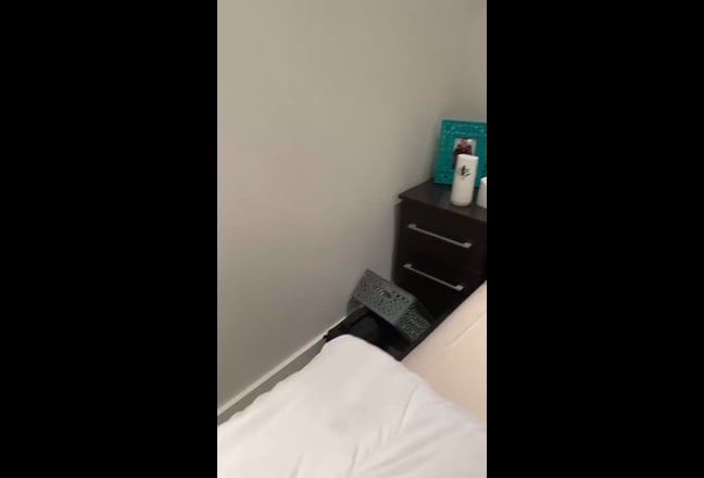 Bright Double Room to rent in London E3 Main Photo