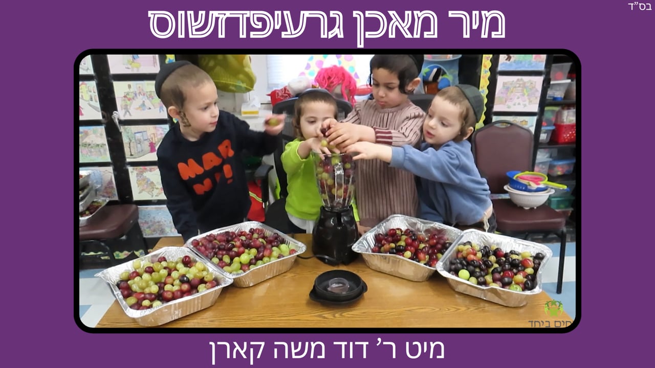 מיר מאכן גרעיפדזשוס - מיט ר' דוד משה קארן