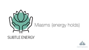 Subtle Energy - Miasms (energy holds)