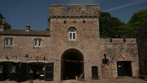 Brougham Hall House Martins
