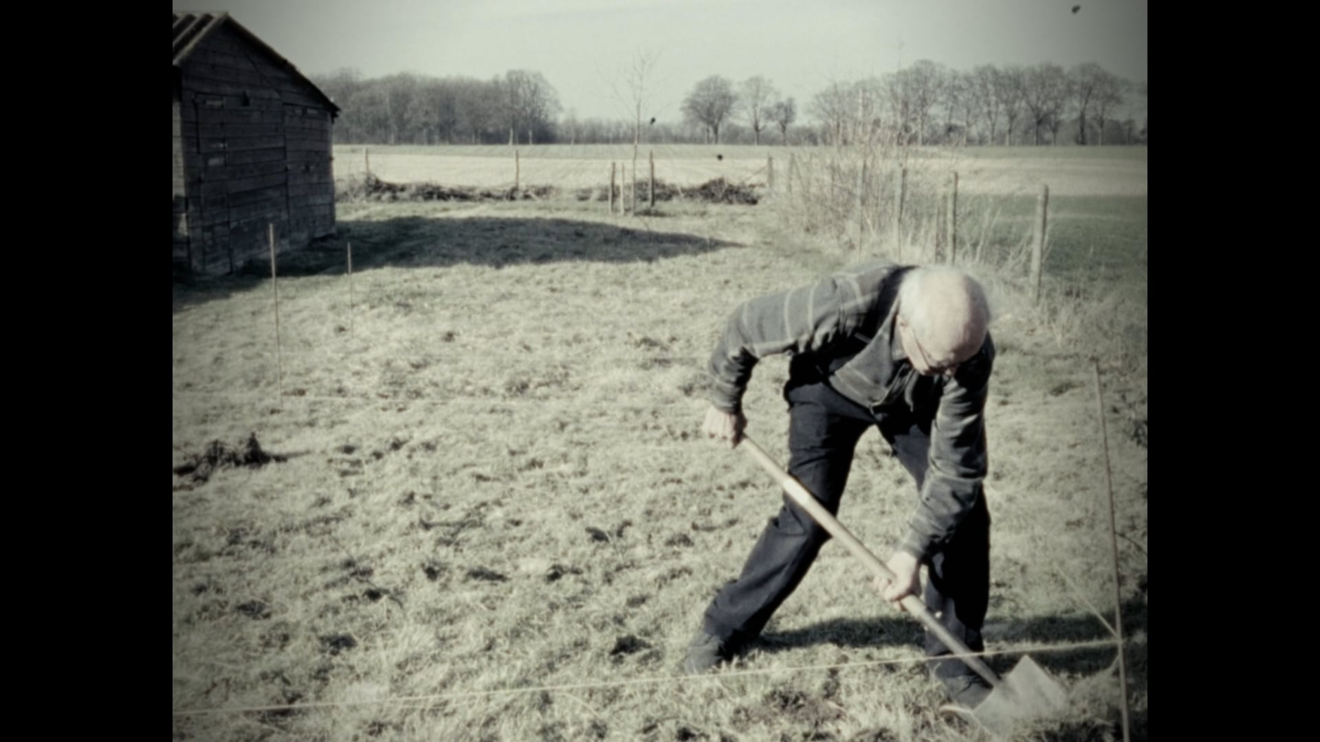 De Woeler | Commercial