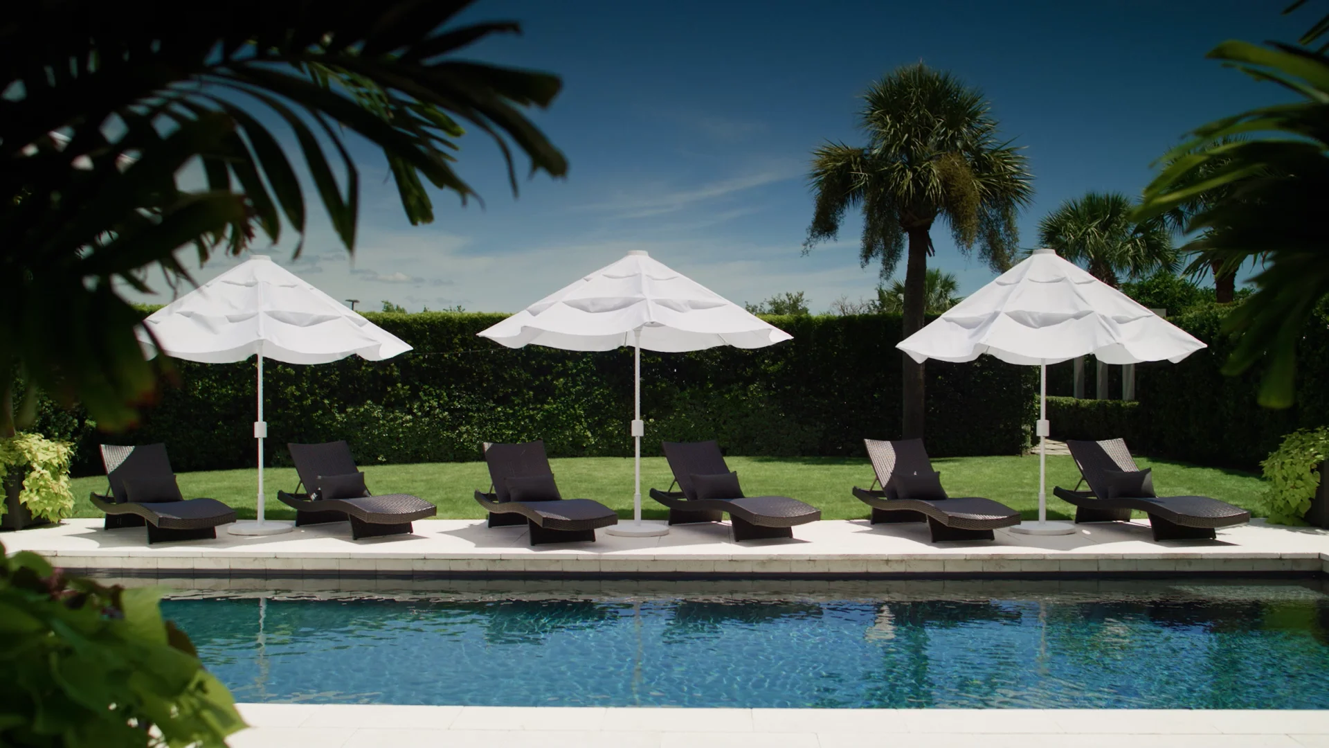 ✨極美品/4(XL)✨AURALEE HIGH GAUGE PIQUE ポロ 白 Helux Motorized – Current Luxury