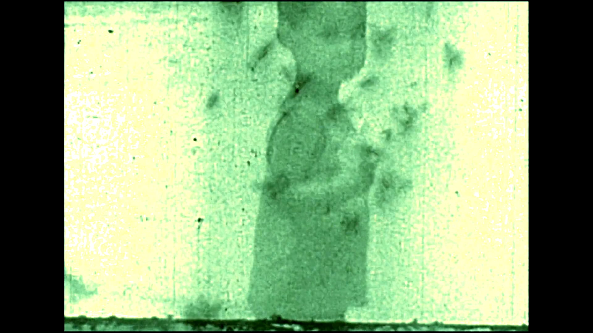 PEGADAS - FOOTPRINTS (doc, 13min)