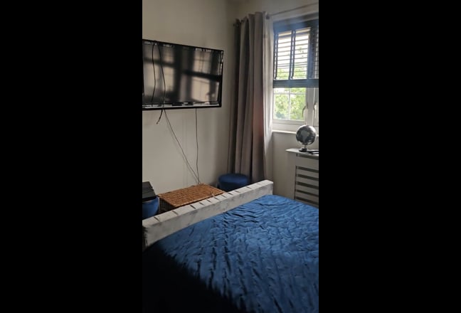 Video 1: