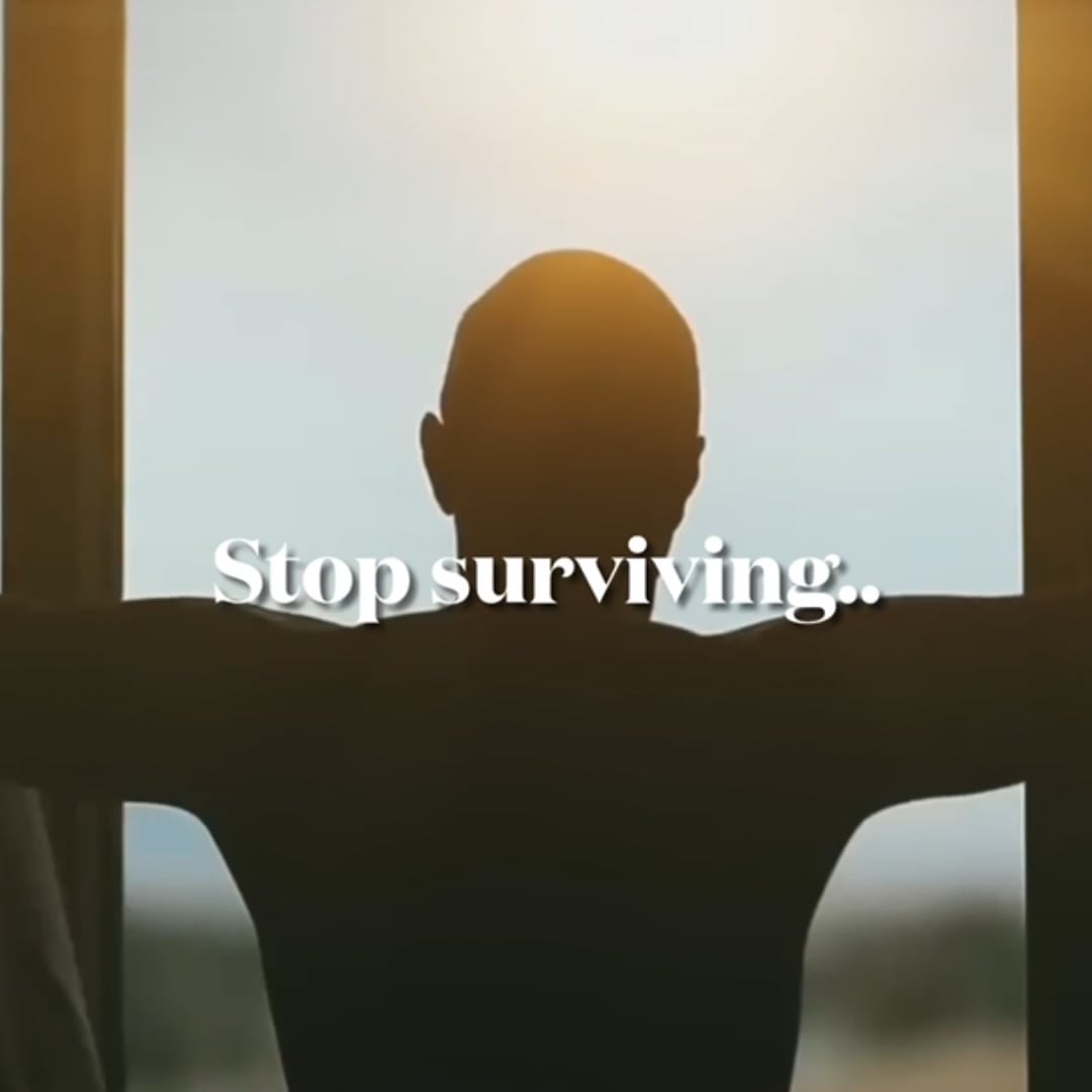 https://i.vimeocdn.com/video/2016727255-c8683cf309a79ad8f306948f3c6cdb174f65cfbad5b74068654cb71862ce416f-d