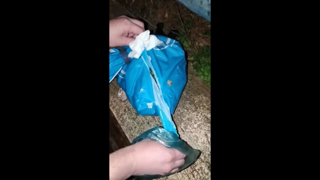 Ηλιούπολη Αττικής: Βρήκε ζωντανά σε σακούλες πεταμένα σε κάδο τρία νεογέννητα γατάκια 15-5-2025