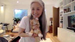 Related Embedded Video Item Thumbnail