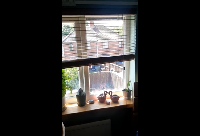 Furnished Single Room Available  Main Photo