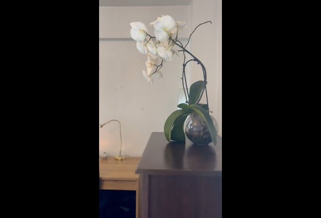 E15 Beautiful room in tidy flat by university. Main Photo