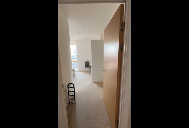 Video 1: