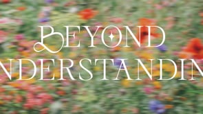 Beyond Understanding