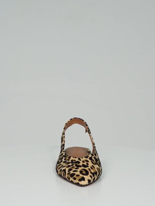 LAYLA / Leopard