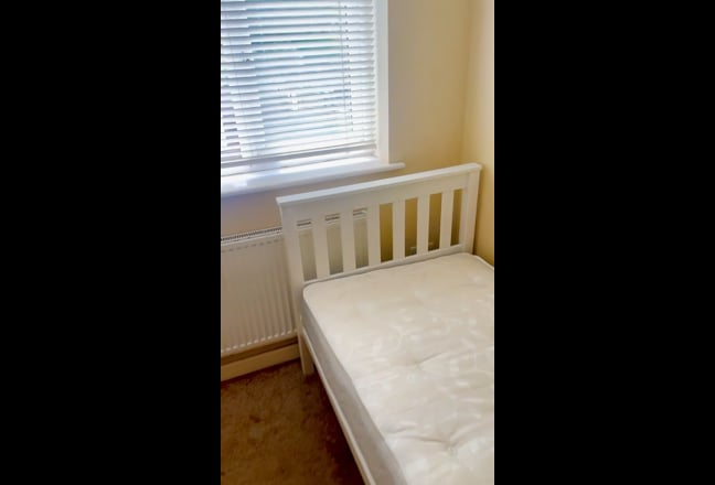 Single room available for rent for rent Main Photo