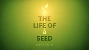 Sunday Worship Livestream