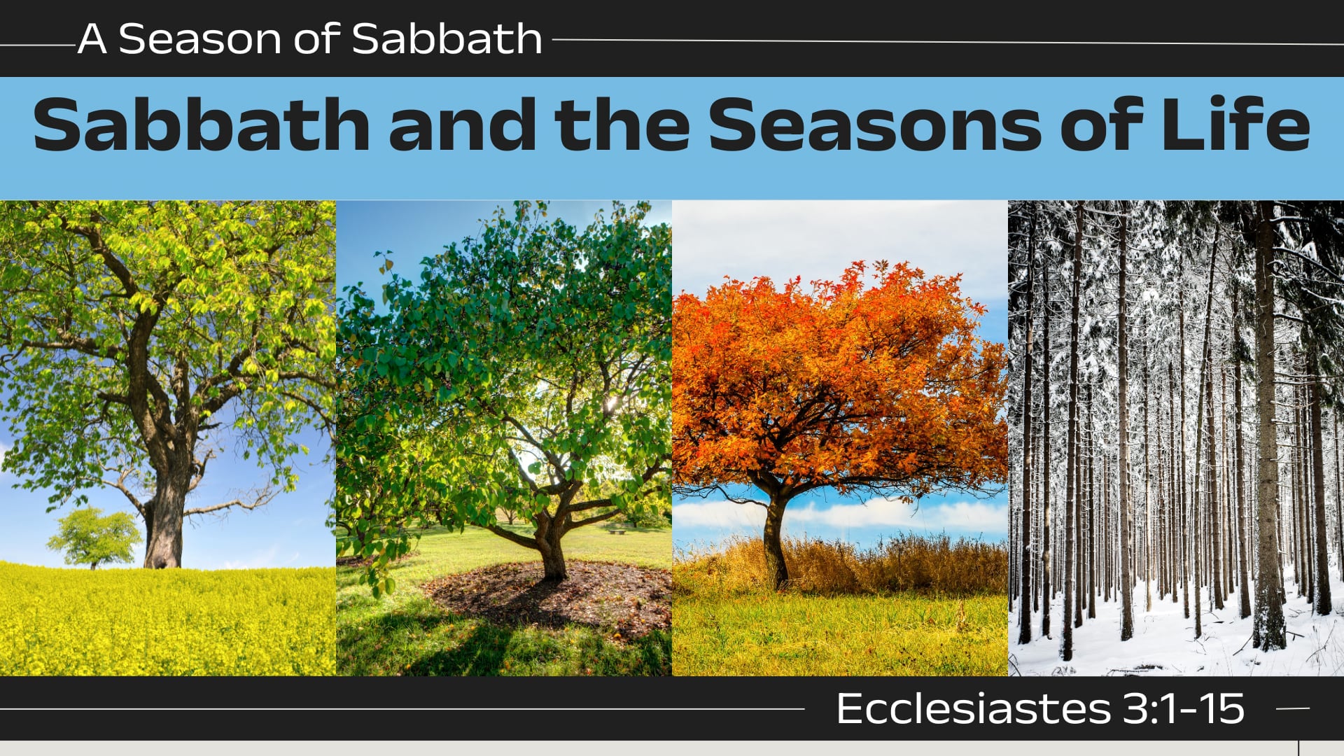 Sunday May 25 9:30am "Sabbath and the Seasons of Life"