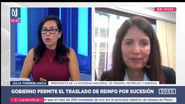 Entrevista a Julia Torreblanca en Canal N