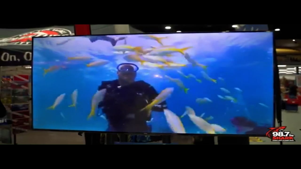 https://i.vimeocdn.com/video/2017407870-087601a61a9d7281ae8aea2448032b9daf04a76727163e299c4f2958720e61fd-d