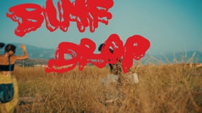 Snippet-BIMF-V02