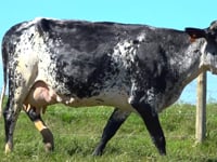 Lote 28