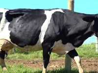 Lote 30