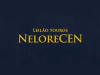 VT Comercial
